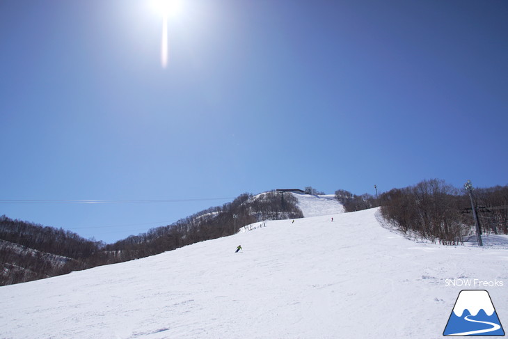 小樽天狗山ロープウェイスキー場 積雪たっぷり！絶景春スキー☆